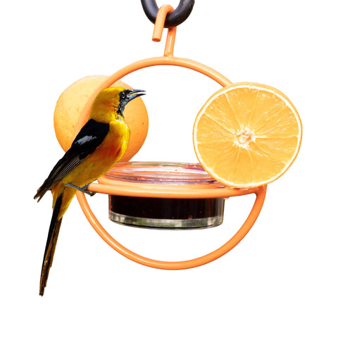 Oriole Hanging Bird Feeder with Clear Bowl, Orange